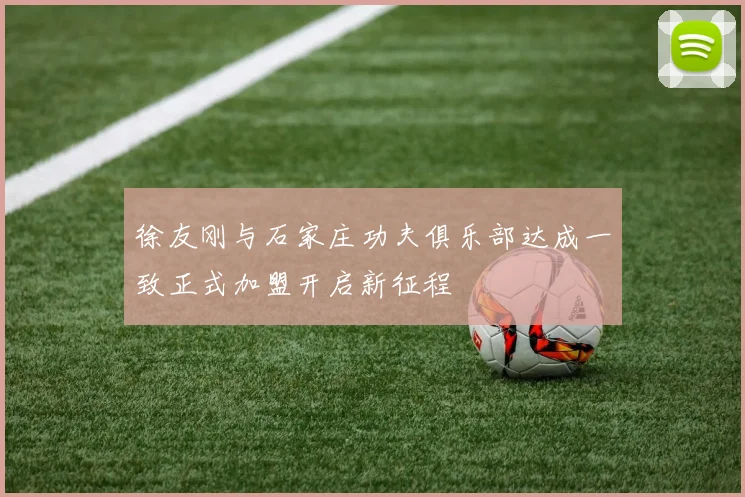 徐友刚与石家庄功夫俱乐部达成一致正式加盟开启新征程