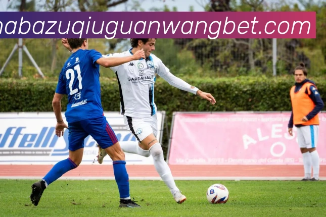 沙巴体育平台生态图