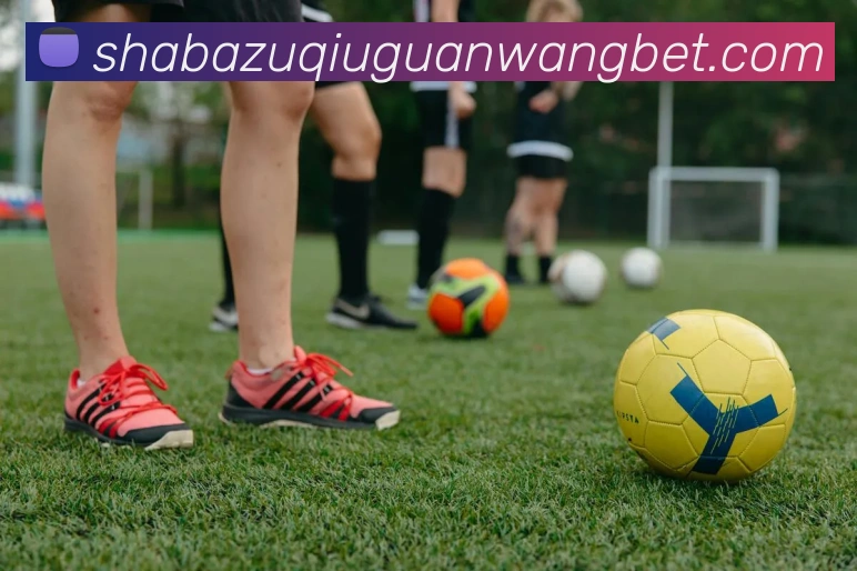 沙巴体育APP 封面图